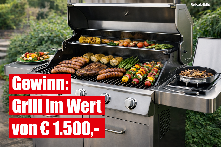 Dieses Bild zeigt den Gewinn von Platz 2